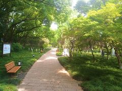-上海方塔园