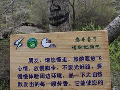 -白草畔自然风景区