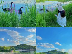 -河北省园博园