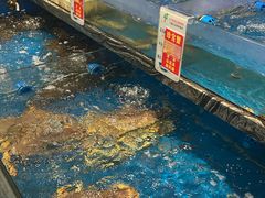-红果树(江光店)