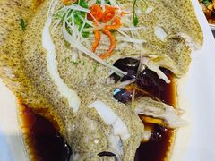 -朱记乳鸽王·非遗石岐乳鸽·全鸽宴(大兴旗舰店)