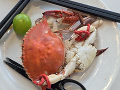 -半岛听涛蒸汽海鲜自助(K11店)