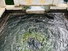 -百脉泉景区