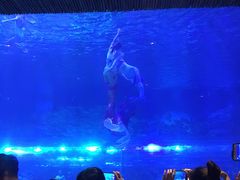 -华夏文旅海洋公园