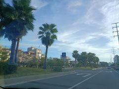 -北海金海湾红树林生态旅游区