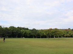 -上海吴淞炮台湾国家湿地公园