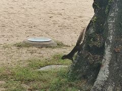 -亚洲大陆最南端