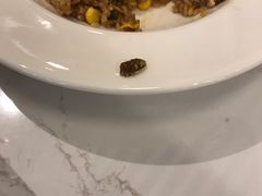 -TA'塔雀 墨西哥餐厅(江都金鹰店)