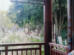 -重庆彩云湖湿地公园