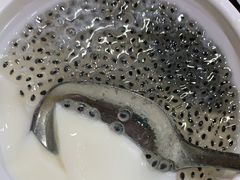 -文昌邓记清补凉(西沙路店)