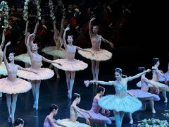 -北京大学百年讲堂