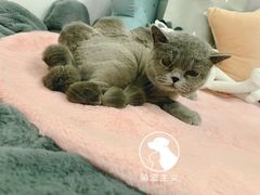 -萌宠主义宠物生活馆(金山路店)