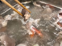 -九府羊鲜羊火锅·烧烤·小海鲜(华汇大厦店)