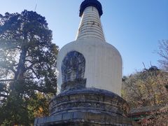 -大觉寺-停车场