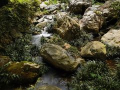 -雁南飞茶田景区