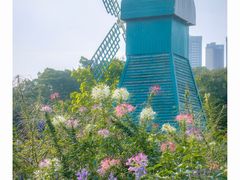 -南沙蒲洲花园