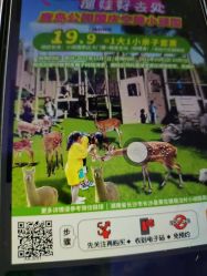 -长沙小顽国景区