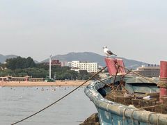 -兴城海滨风景区