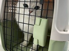 -半岛宠物医院24小时(科华中路店)