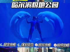 -哈尔滨极地公园