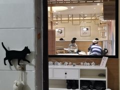 门面-滚猫咖啡·猫咖·猫友好撸猫(未来城店)