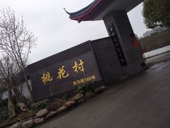 -南汇桃花村