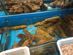 -中苑海韵
