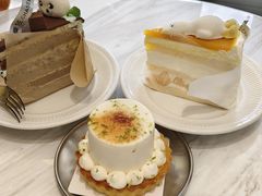 -夏佐CHASEL(横店康庄路店)