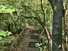 -佛山华盖山公园
