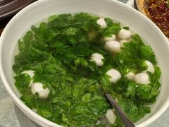 -丁老爷子苏香圆