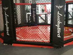 -金吉鸟健身游泳