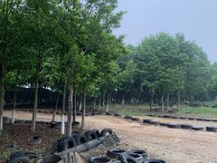 -千龙湖生态旅游度假区