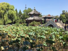 -莲池书院博物馆