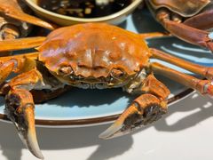 -嗨辣小聚·盘锦河蟹·海鲜烧烤龙虾(盘锦十年好店)