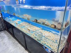 -高家烧鸽子烧烤店63年