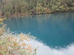 -九寨沟-树正沟