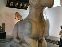 -徐州龟山景区