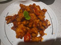 -船歌·鱼水饺青岛菜(金狮广场店)
