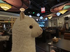 -熹悟海鲜火锅·广式打边炉
