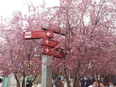 -北京奥林匹克公园