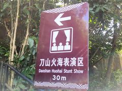 -海南槟榔谷黎苗文化旅游区