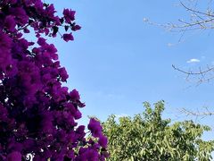-悦哉·派对·草坪婚礼·围炉煮茶(三圣乡店)