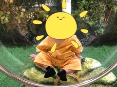 -青水瓦台汤泉(未央店)