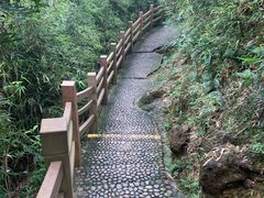 -南海湾森林生态园