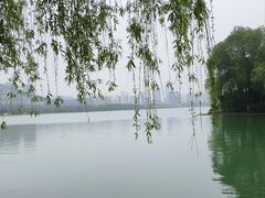 -天鹅湖体育公园