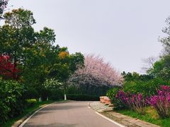 -南京市江宁方山