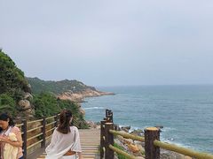 -广东惠东海龟国家级自然保护区