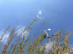 -洱海月湿地公园