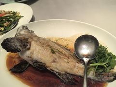 -金悦轩海鲜城(渔人码头店)