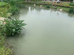 景点-天府芙蓉园